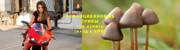 ALPHA PVP Богданович