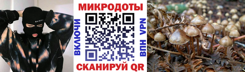 MEGA сайт  закладки  Шлиссельбург  Галлюциногенные грибы Psilocybine cubensis 